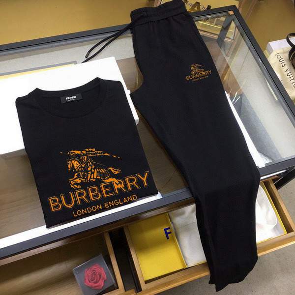 Picture of Burberry Shirt Pant Suits _SKUBurberryM-5XL13gn21120622
